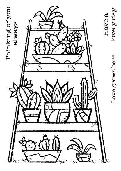 Tampon en bois transparent pour jardin intérieur 10 cm x 15 cm