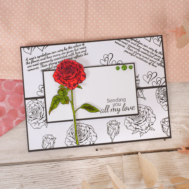 Pour l'amour des timbres - Beautés botaniques - Set de tampons Rose A6