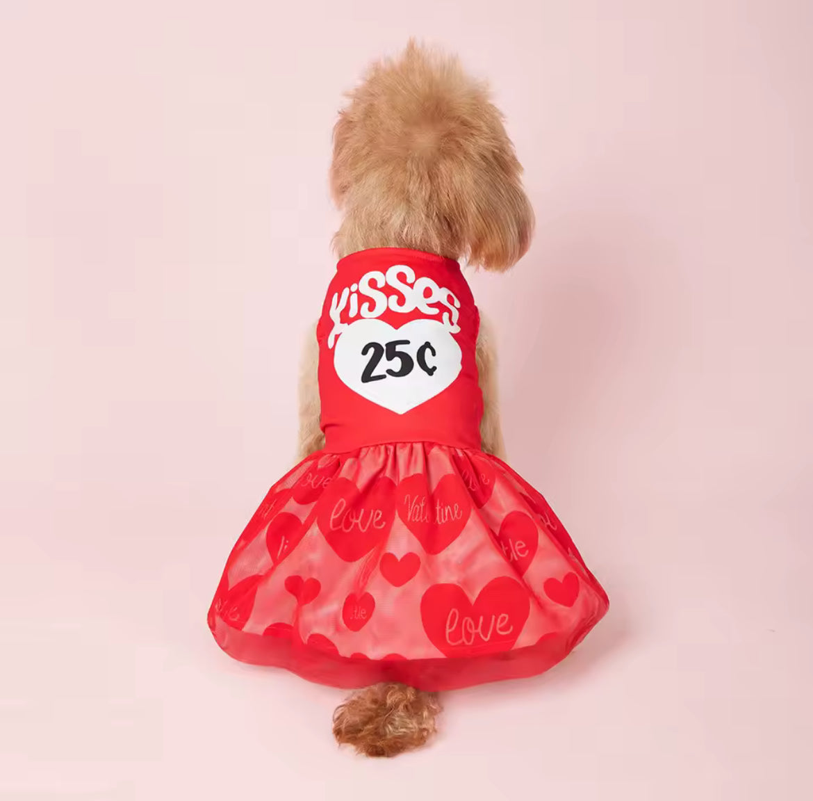 25¢ Kisses Valentine Dog Dress – Red Heart Puppy Outfit