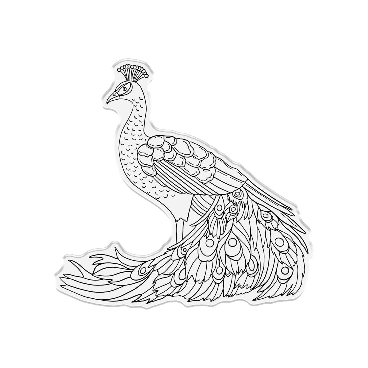 Graceful Plumes Stamp & Die - Proud Peacock 