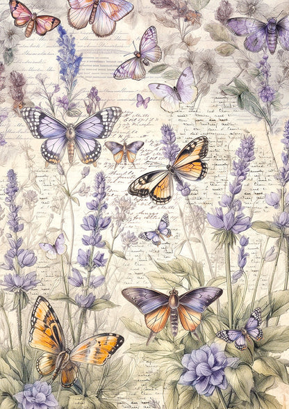 Tissue Paper A4 6/Pkg Whimsical Butterflies