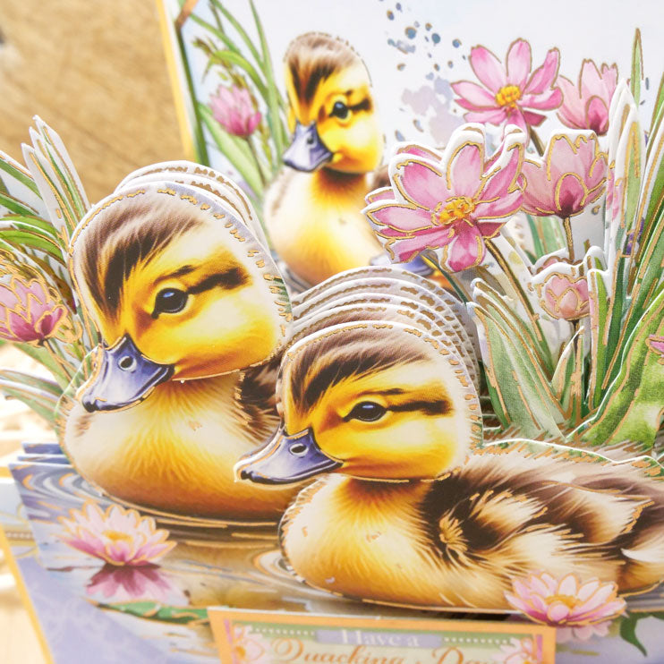 Deco-Large Le printemps est là – Une journée canardement bonne