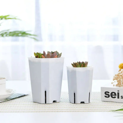 Tall Square Pot