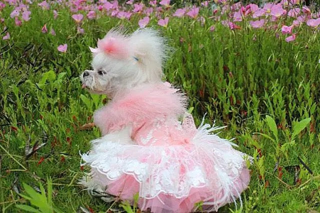 Robe Tutu en Plumes pour Chien | Tenue Élégante et Formelle pour Chien