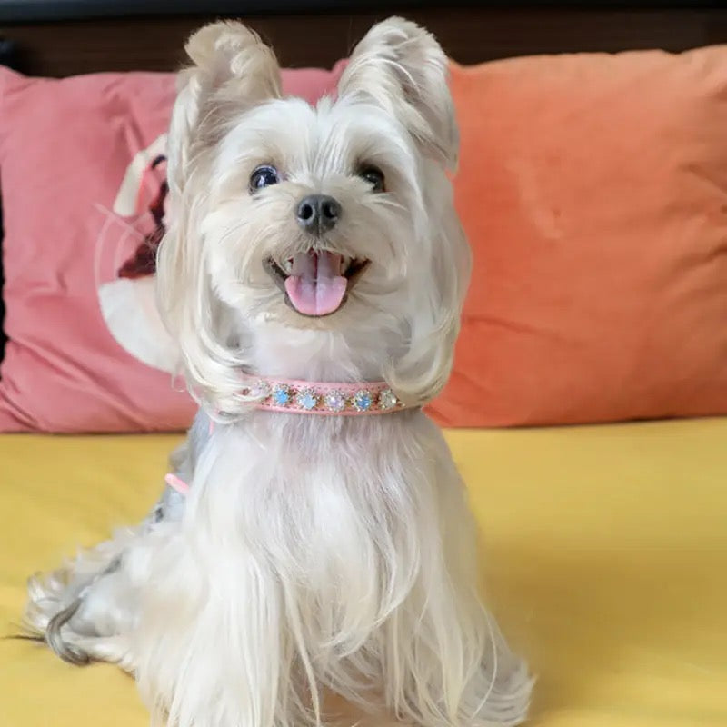 Princessa Rhinestone Dog Collar Harness | Walking Harness