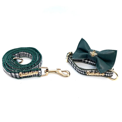 Fern dog leash with hands-free extension
