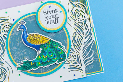 Graceful Plumes Stamp & Die - Proud Peacock 