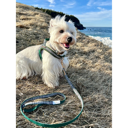 Fern dog collar