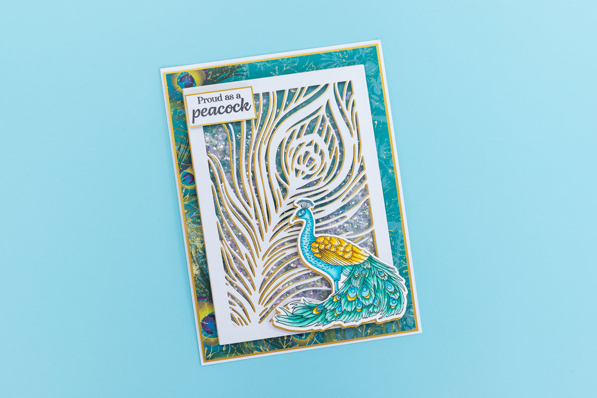 Graceful Plumes Stamp & Die - Proud Peacock 