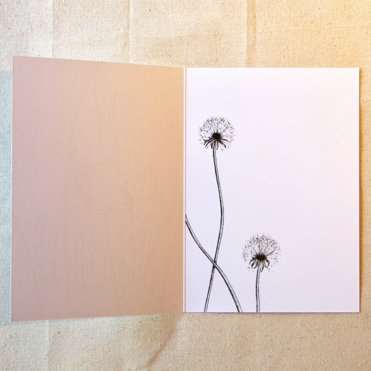 'Get Well Soon' Little Bird Card