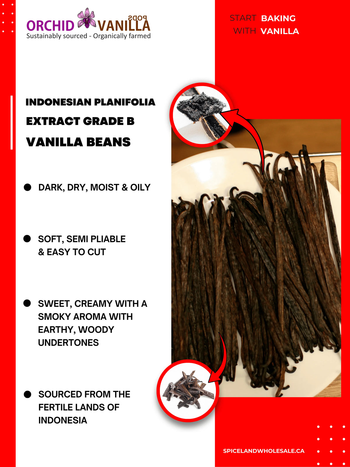 Indonesian Vanilla Beans (Sumatra) Planifolia Extract Grade-B <br>For Extract Making<BR>By Count