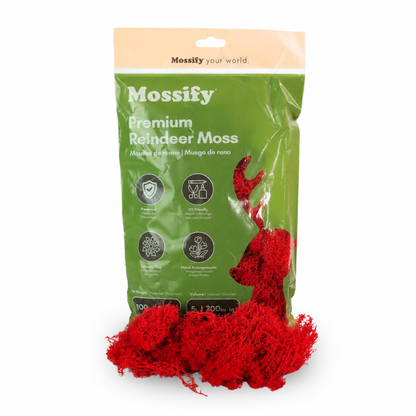 Premium Reindeer Moss Bag