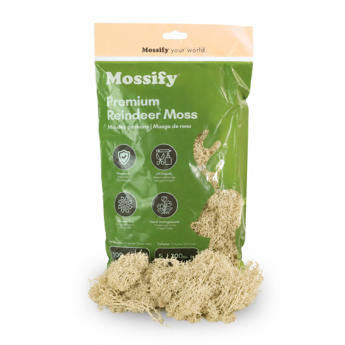 Premium Reindeer Moss Bag