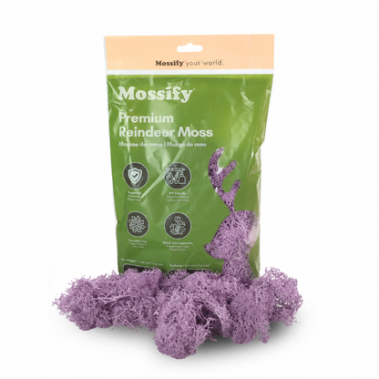 Premium Reindeer Moss Bag