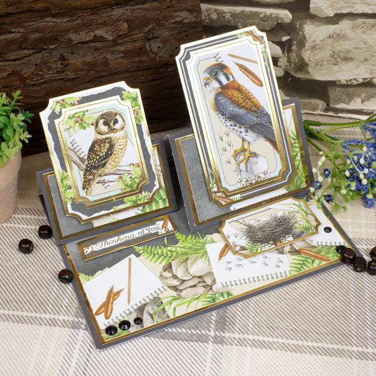 Sélection Botanical Birds Matt-tastic Adorable Scorable
