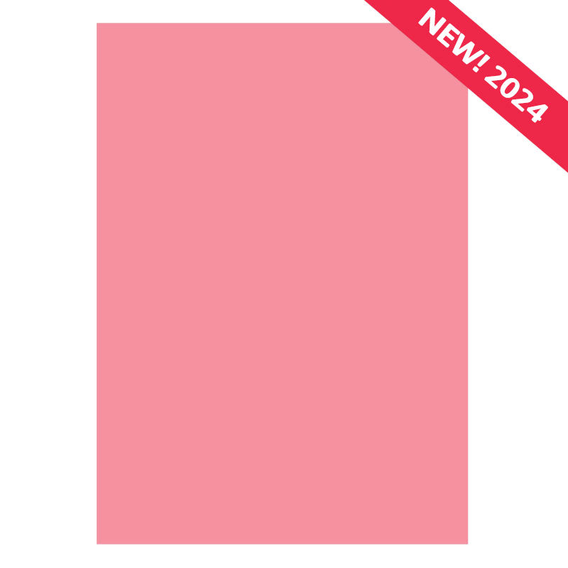 Papier cartonné Matt-tastic Adorable Scorable A4 x 10 feuilles