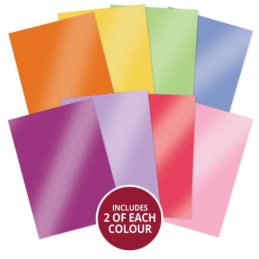 En pleine floraison - Sélection Mirri de délices floraux