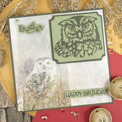 Moonstone Dies - Hibou Hivernal