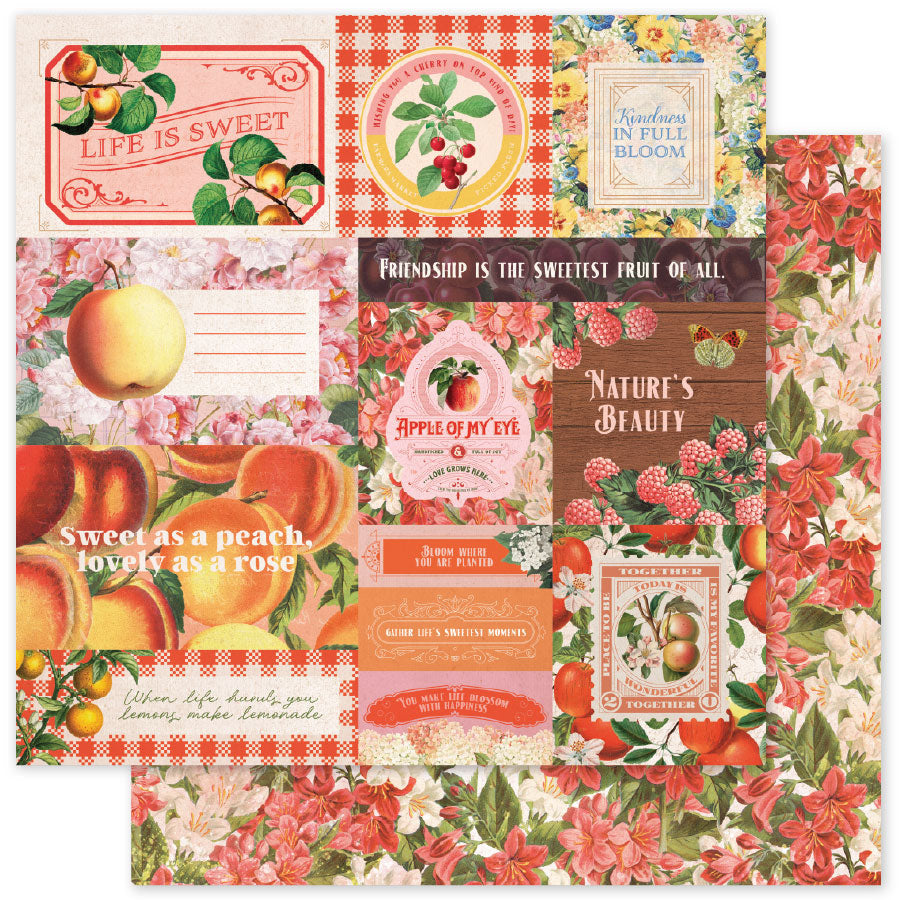 Meadowbrook Farm Basics 6x6 Paper Collection 35040