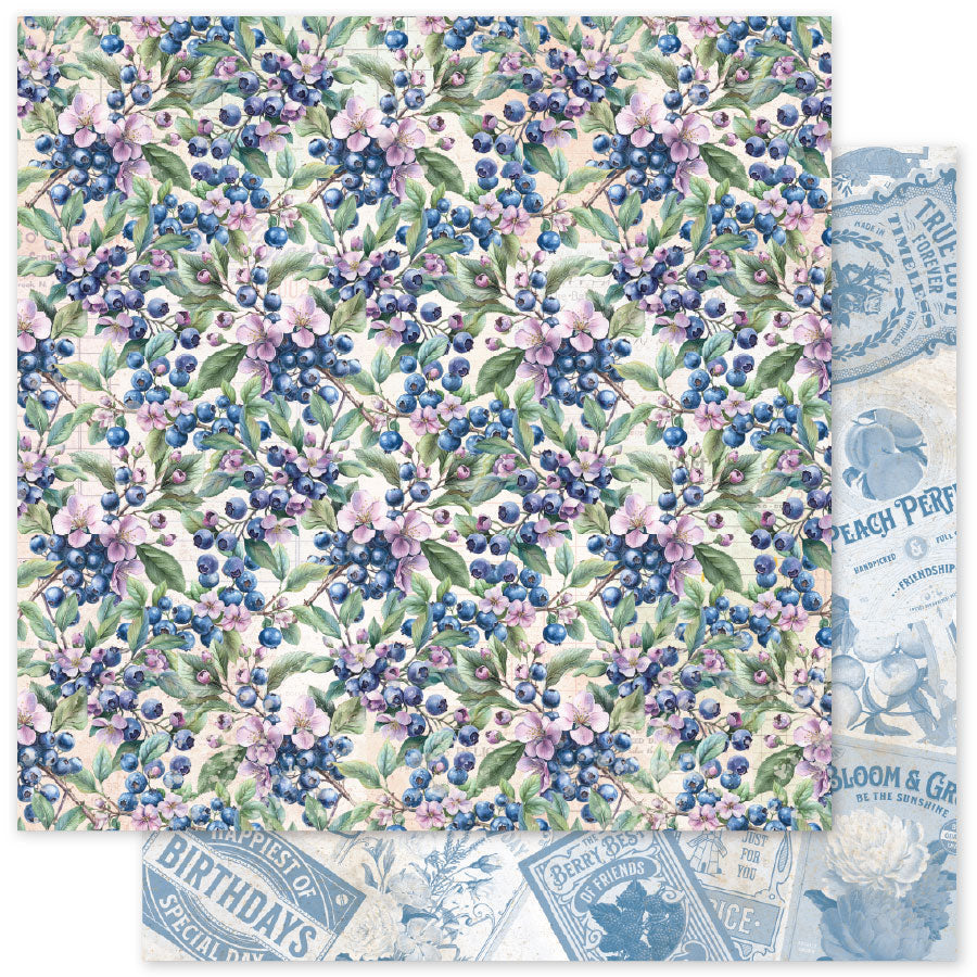 Meadowbrook Farm Patterns 12x12 Paper Collection 35088