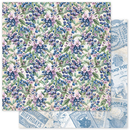 Meadowbrook Farm Patterns 12x12 Paper Collection 35088
