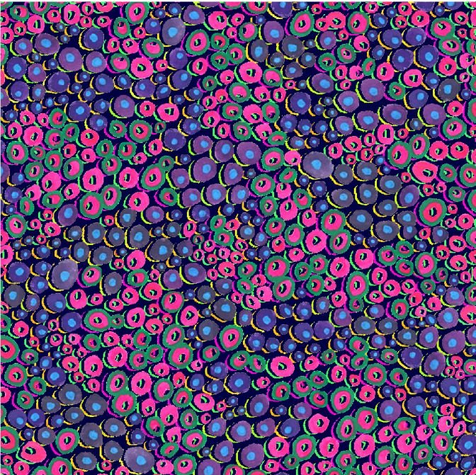 Oasis Fabrics - Nuit en fleurs - Pois fleuris - Tissu noir 59-5511