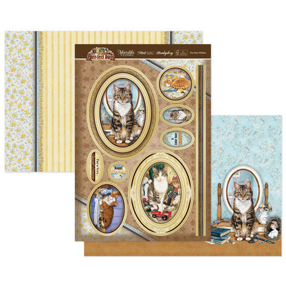 Set de découpes de luxe Vœux ronronnants