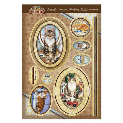 Set de découpes de luxe Vœux ronronnants