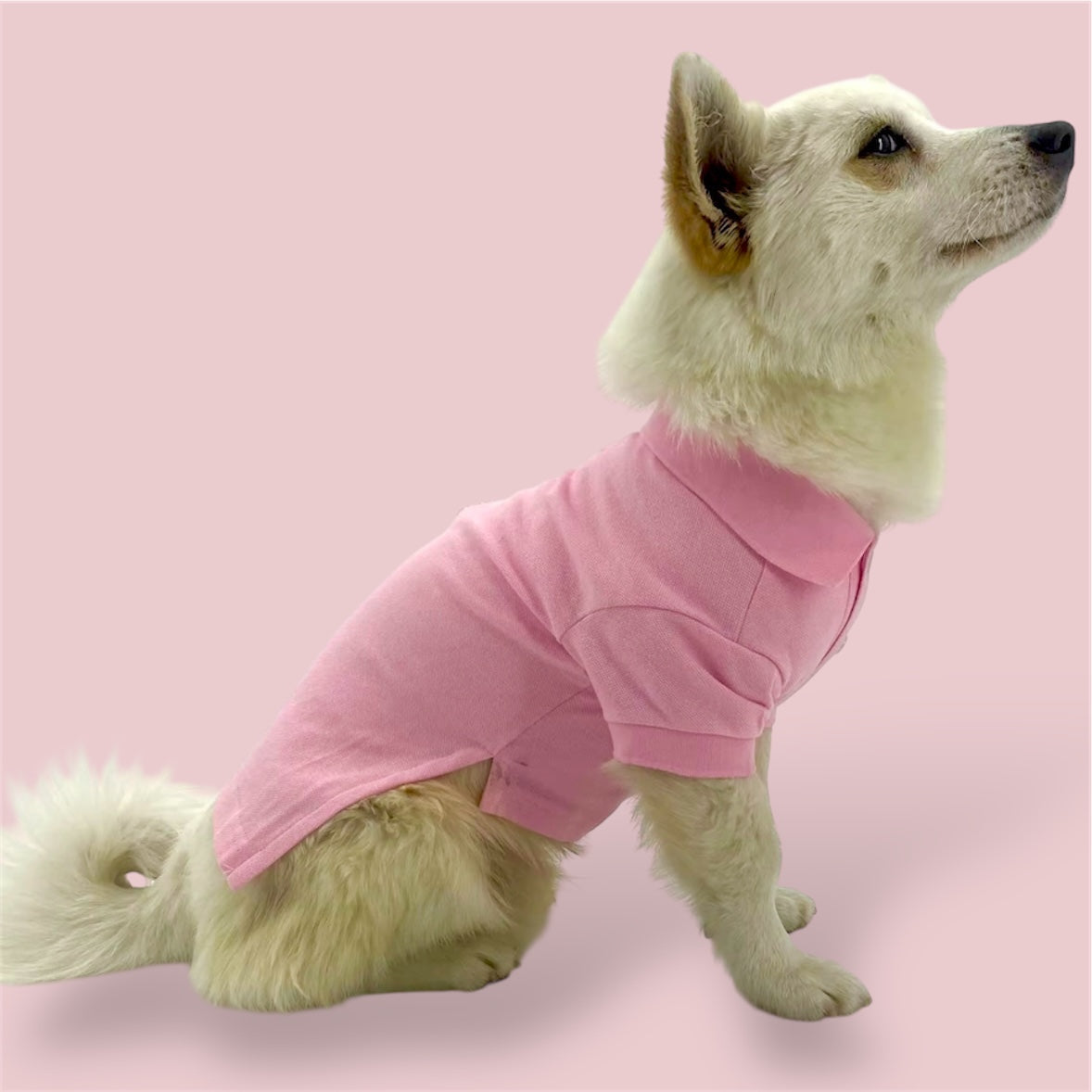 Pink cotton shirt