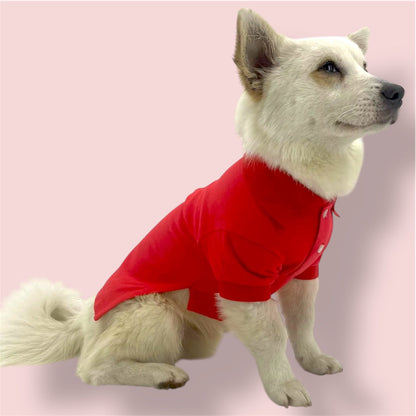 Red cotton shirt