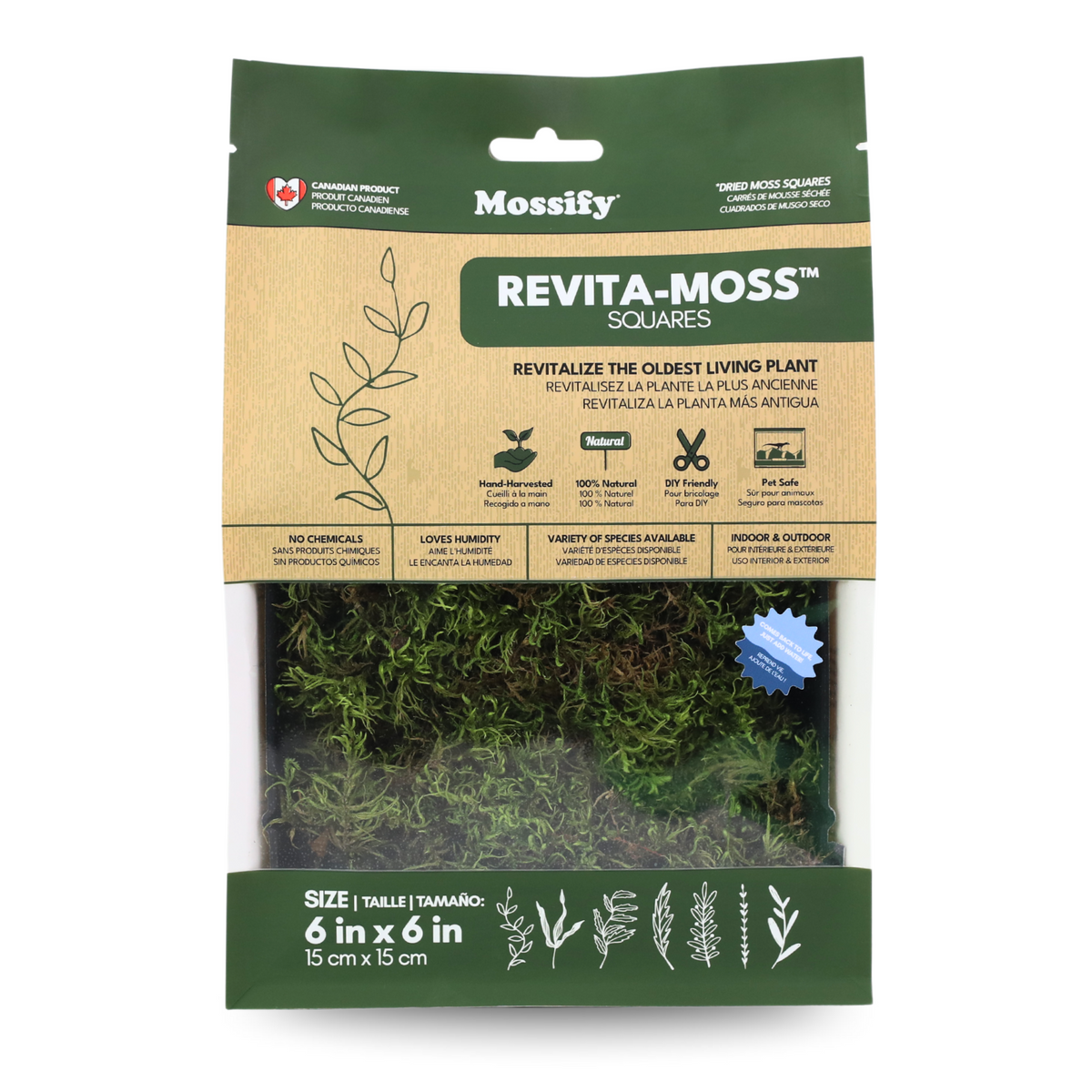 Mousse forestière canadienne naturelle - Revita-Moss™ (Pleurozium schreberi)