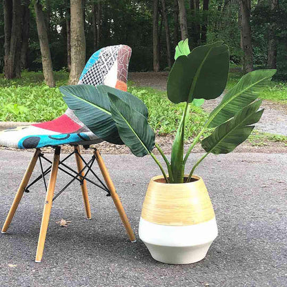 Sal - Bamboo Floor Planter