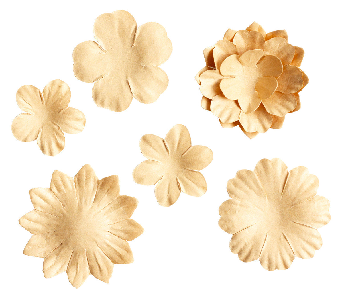 SL Fleurs en papier 25x Consommables Kraft 25 PC