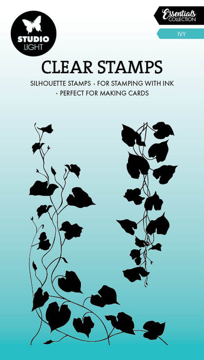 SL Tampon transparent Essentiels Lierre 2 pièces