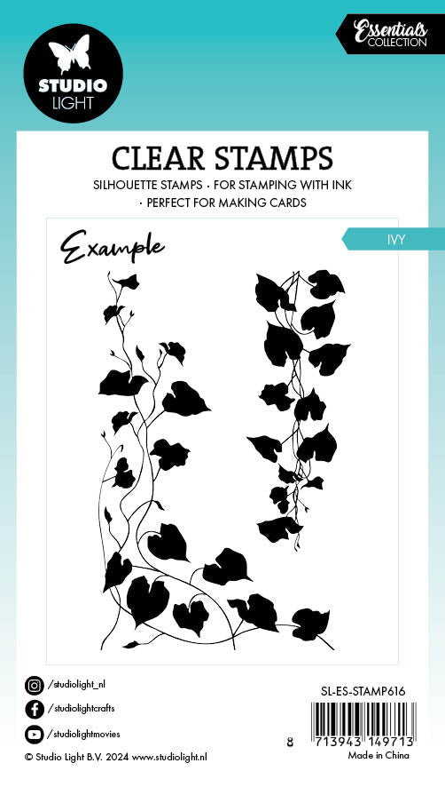 SL Tampon transparent Essentiels Lierre 2 pièces