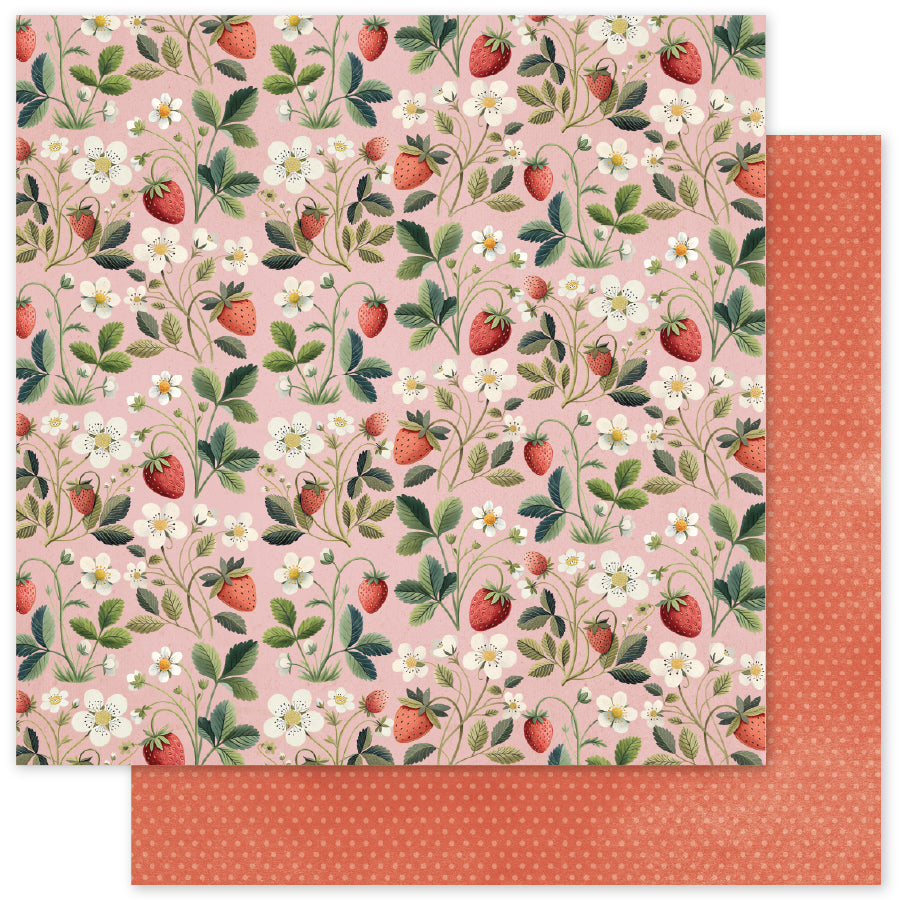 Papier Fraise Amis B 30,5 x 30,5 cm (Lot de 12) 34866