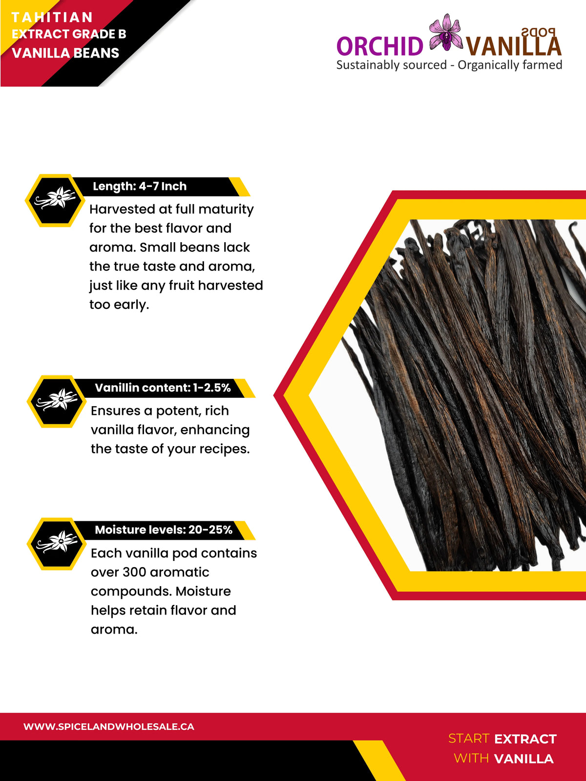 Tahitian Extract Vanilla Beans Grade-B <br>For Extract Making<BR>By Pound