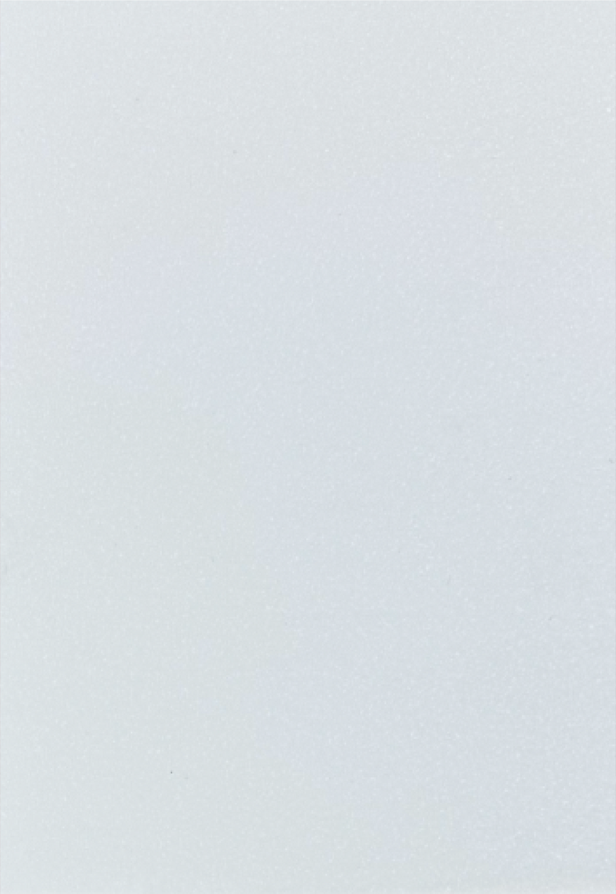Crafter’s Companion Lot de 100 cartes A5 avec finition spéciale