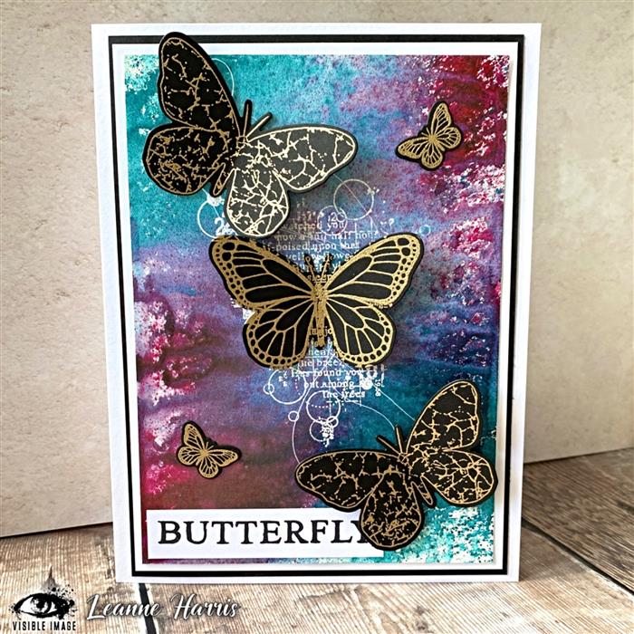 Visible Image Antisocial Butterfly Co-ordinating Dies