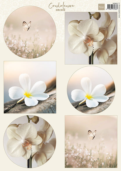Marianne Design A4 Cutting Sheet - Condolence - Orchid