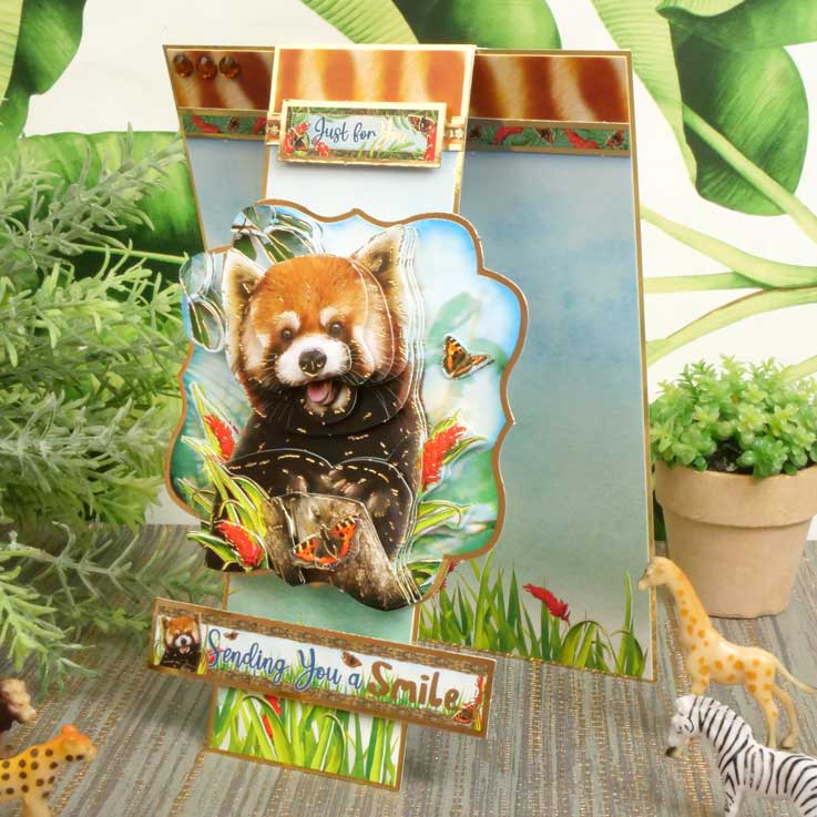 Into The Wild Deco-Large Set - Envoyer des Sourires