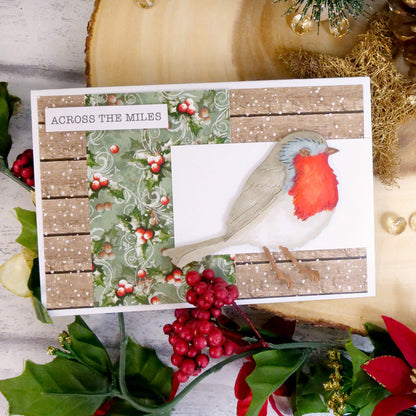 Inserts et papiers de luxe Winter Robins