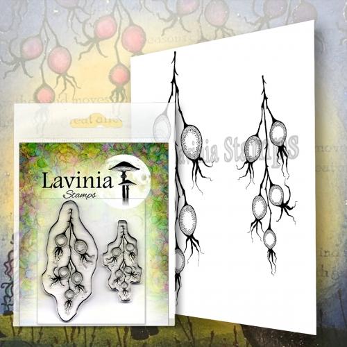 Lavinia Stamp - Baies d'hiver
