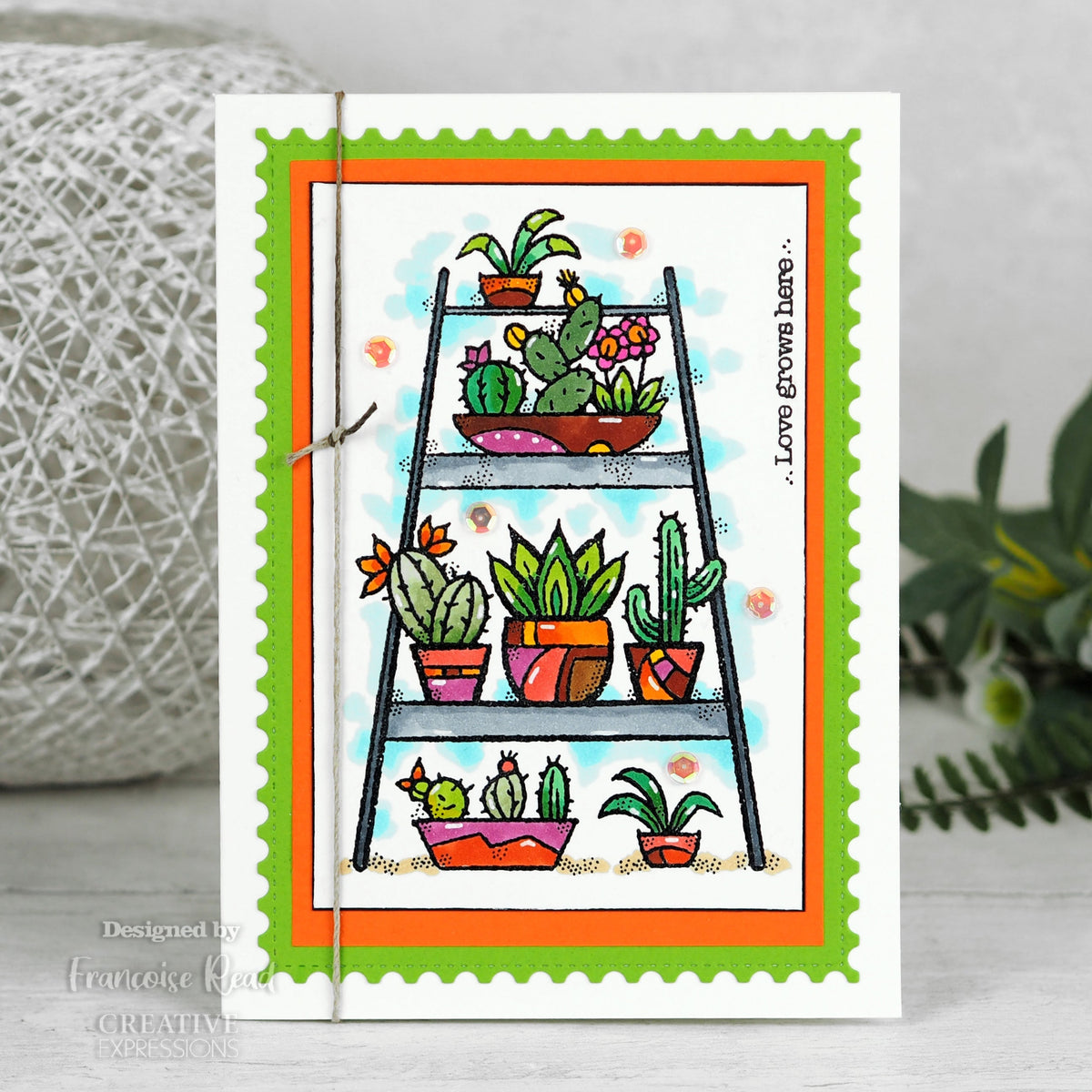Tampon en bois transparent pour jardin intérieur 10 cm x 15 cm