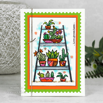 Tampon en bois transparent pour jardin intérieur 10 cm x 15 cm