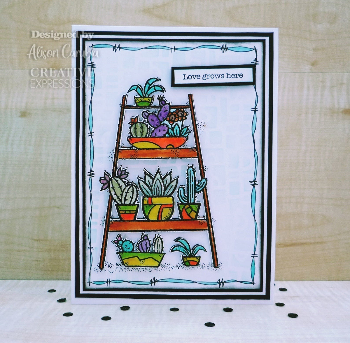 Tampon en bois transparent pour jardin intérieur 10 cm x 15 cm
