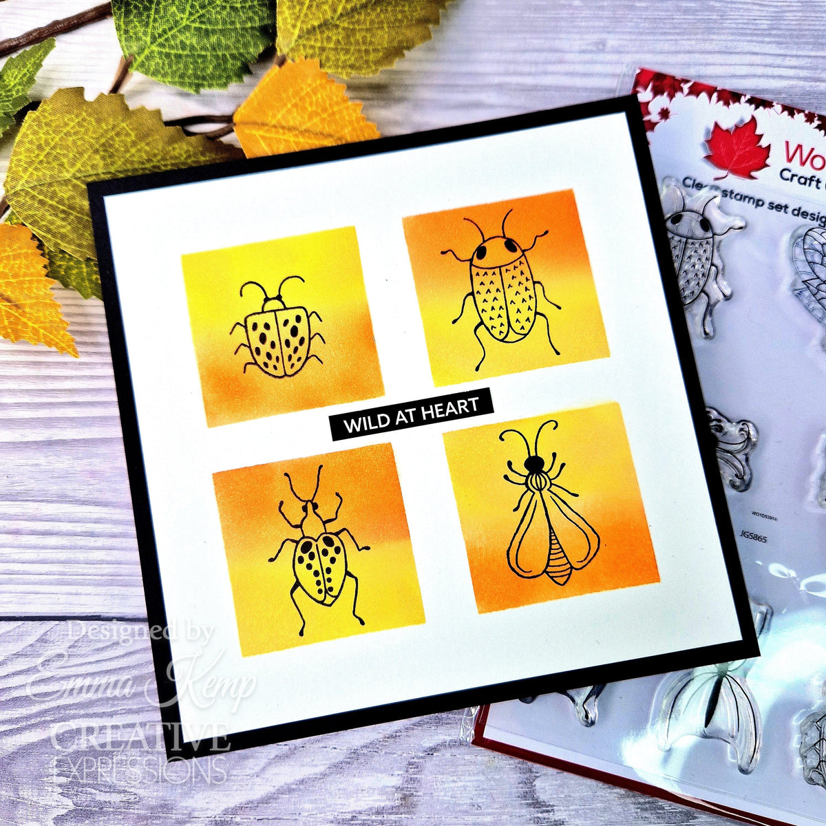 Tampon en silicone Woodware Clear Singles Bug Doodles 10 x 15 cm