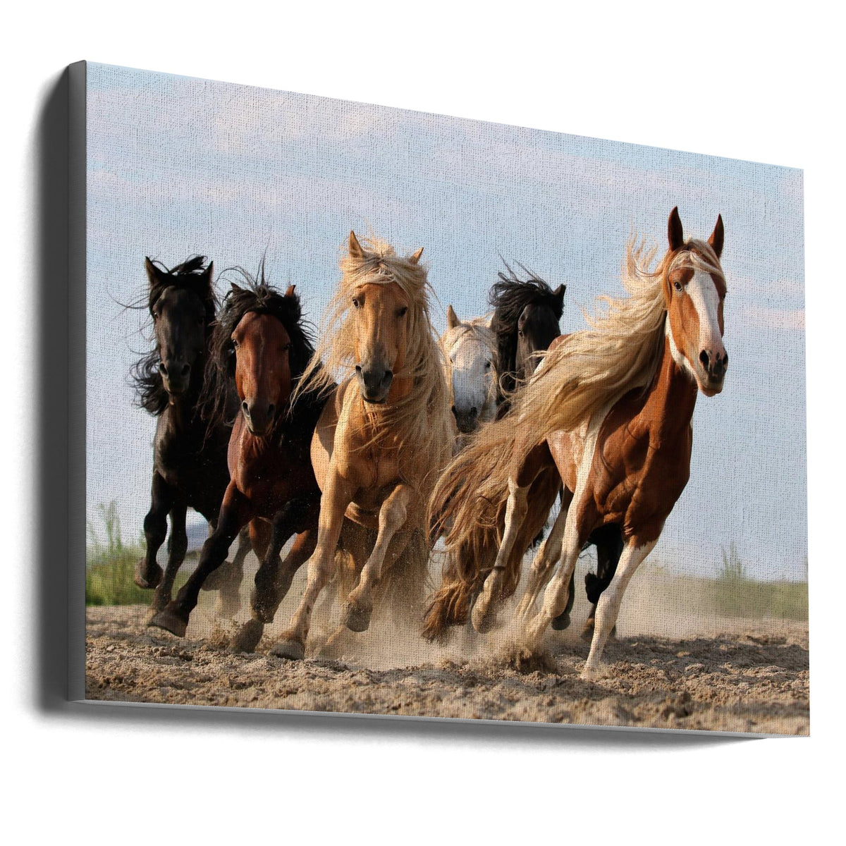 Wall art Lucky Six Horses