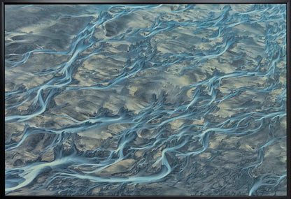 art mural #3 Veines de la Terre