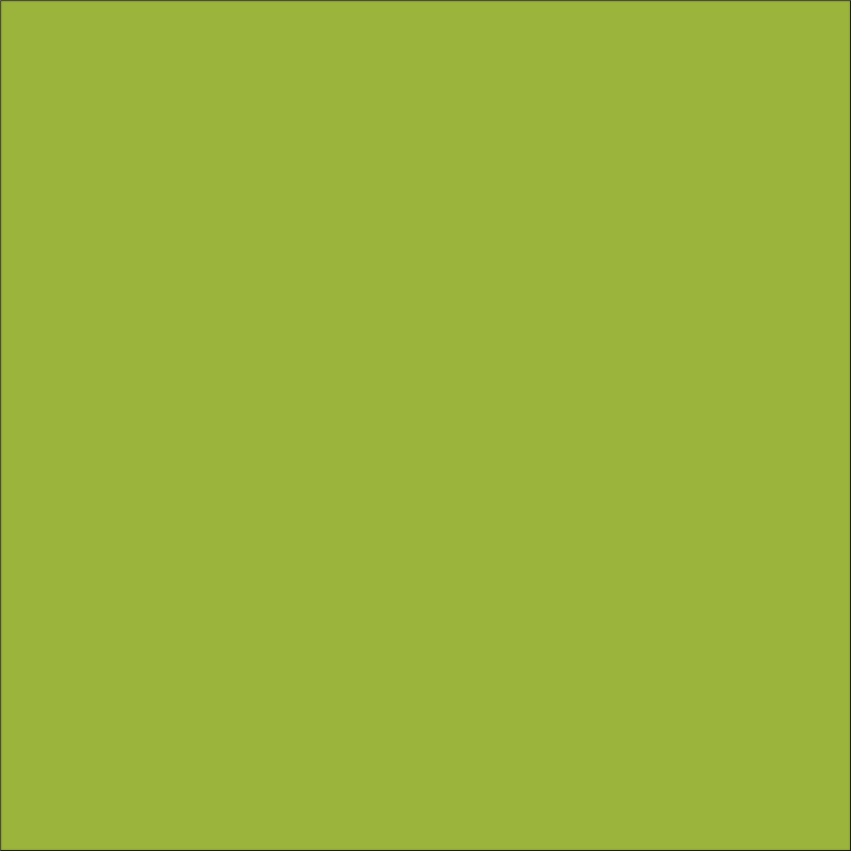Craft Lime HTV Vinyl 12"